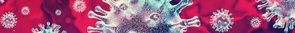 Media Appearance Image