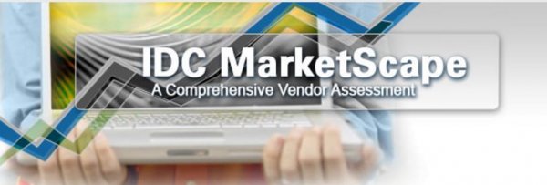 IDC MarketScape logo
