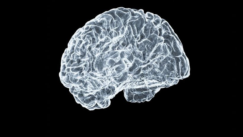 Alzheimer’s Disease and Related Dementias: Recognizing Early Signs and Preserving Independence featured image