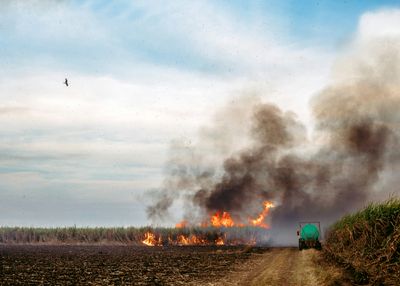 The world is burning useful waste, and cleaner alternatives are needed featured image