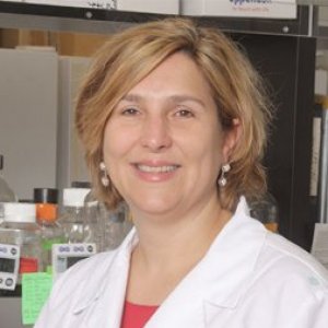 Sarah F. Hamm-Alvarez, PhD