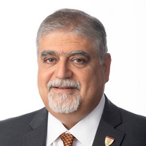 Vassilios Papadopoulos, DPharm, PhD, DSc (Hon)