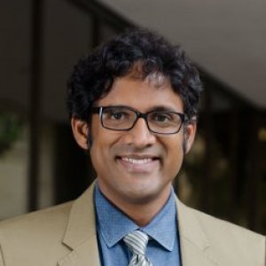 Raj Raghunathan - The University of Texas at Austin, McCombs School of Business. Austin, TX, UNITED STATES