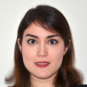 Hoda Heidari - Ethics and Computational Technologies