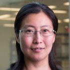 Hong Zhao, Ph.D. profile photo