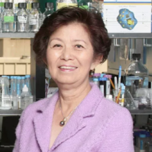Jean C. Shih, PhD