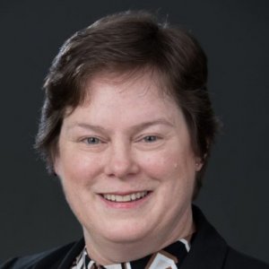 S. Megan Berthold, Ph.D., LCSW