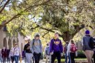 Louisiana State University Photo