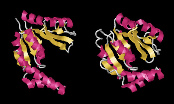 Image for research focus on Mechanical Properties of Biological Macromolecules