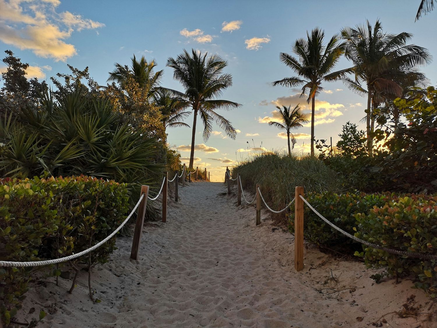 Florida Atlantic University hero image