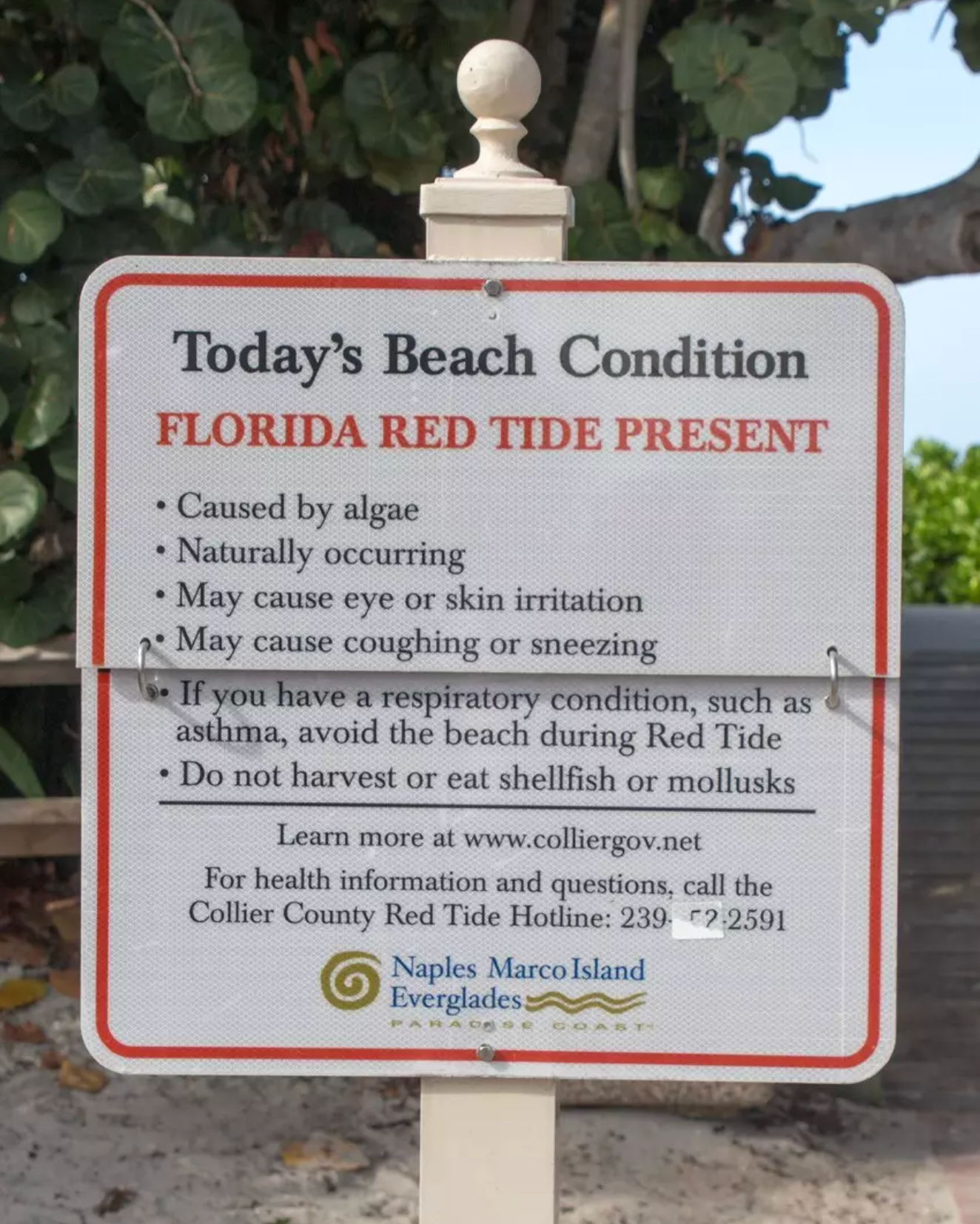 Florida Red Tide Warning Sign