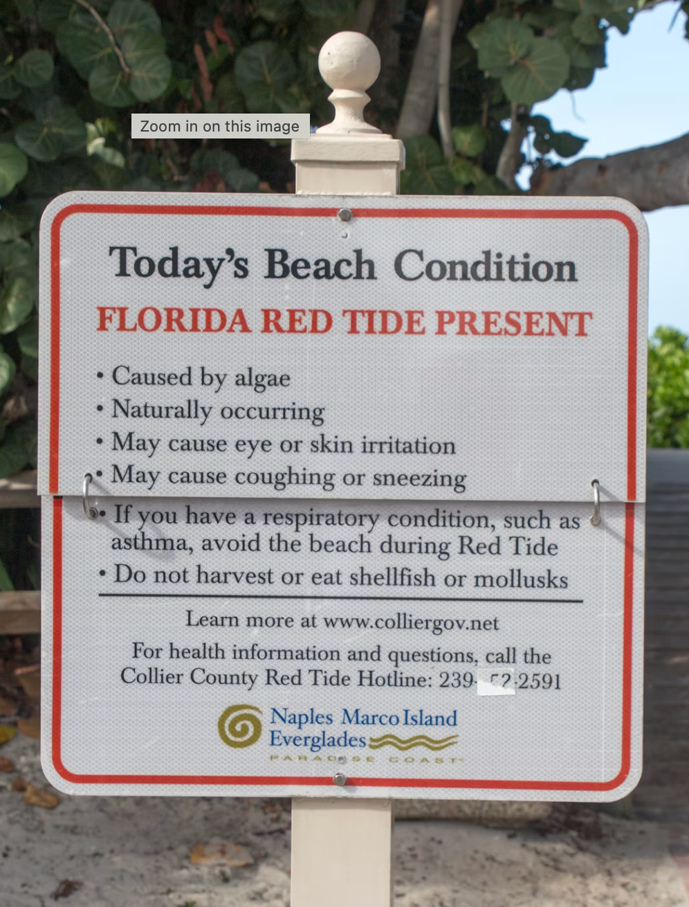 Florida Red Tide Warning Sign