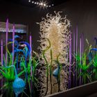 Chihuly’s Glass Abloom at Meijer Gardens featured image