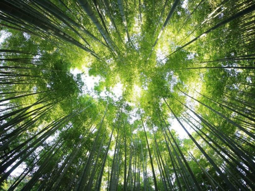 Vanderbilt Index Finds Sustainability Remains a Mainstream Consumer Priority featured image