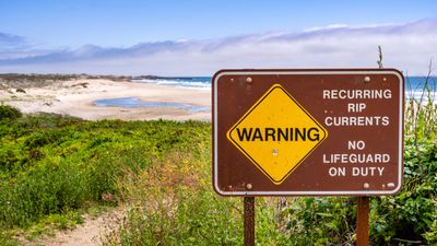 How Virtual Reality Is Teaching Long Island to Survive a Rip Current featured image