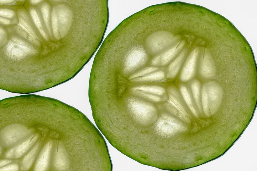 The Truth About “Negative-Calorie” Cucumbers featured image