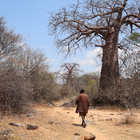 Hunter-Gatherer ‘Egalitarianism’ Is More Complicated Than We Thought featured image