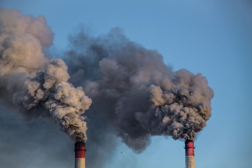 Companies Are More Committed to Sustainability Than Ever. So What's Holding Them Back? featured image
