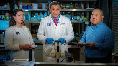#Expert Research: Can CBD effectively impede growth of heterotopic lung cancer?
